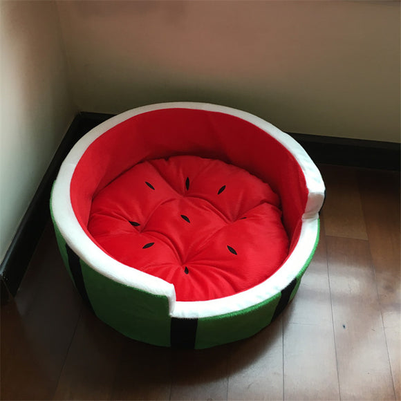 Watermelon Modeling Dog Bed