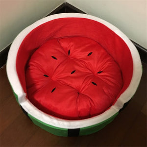 Watermelon Modeling Dog Bed