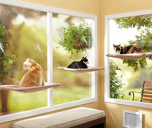 Cat Hammock Window