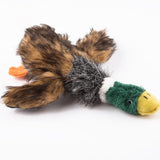 Lovely  Dog Toys Pet Dog Toys