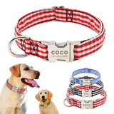 Personalized Engraved Dog Collar