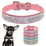 Leather Cat Dog Collars